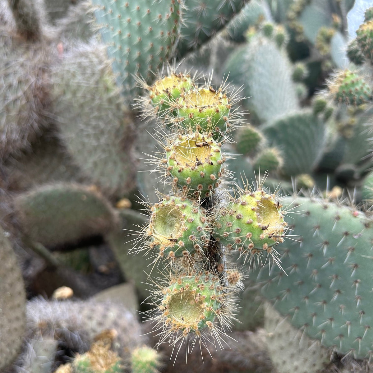 Nature and its treasures